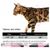 IntiMeg Ensemble harnais et corde pour chats
