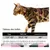 IntiMeg Ensemble harnais et corde pour chats IntiMeg Ensemble harnais et corde pour chats