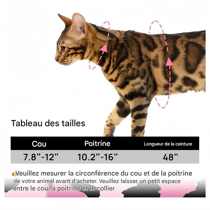IntiMeg Ensemble harnais et corde pour chats
