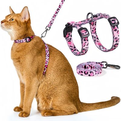IntiMeg Ensemble harnais et corde pour chats