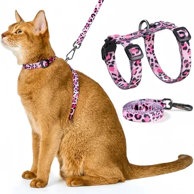 IntiMeg Ensemble harnais et corde pour chats