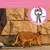 IntiMeg Ensemble harnais et corde pour chats IntiMeg Ensemble harnais et corde pour chats