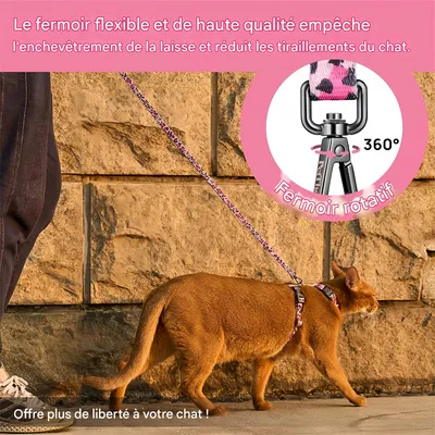 IntiMeg Ensemble harnais et corde pour chats IntiMeg Ensemble harnais et corde pour chats