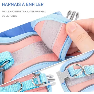 FurryFusion Harnais pour chat avec laisse et doublure réfléchissante