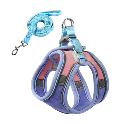 FurryFusion Harnais pour chat avec laisse et doublure réfléchissante