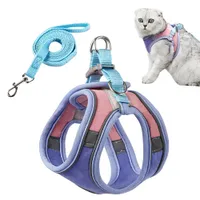 FurryFusion Harnais pour chat avec laisse et doublure réfléchissante