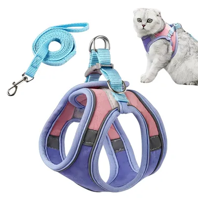 FurryFusion Harnais pour chat avec laisse et doublure réfléchissante