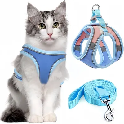 FurryFusion Harnais pour chat avec laisse et doublure réfléchissante