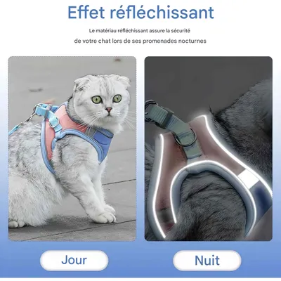 FurryFusion Harnais pour chat avec laisse et doublure réfléchissante