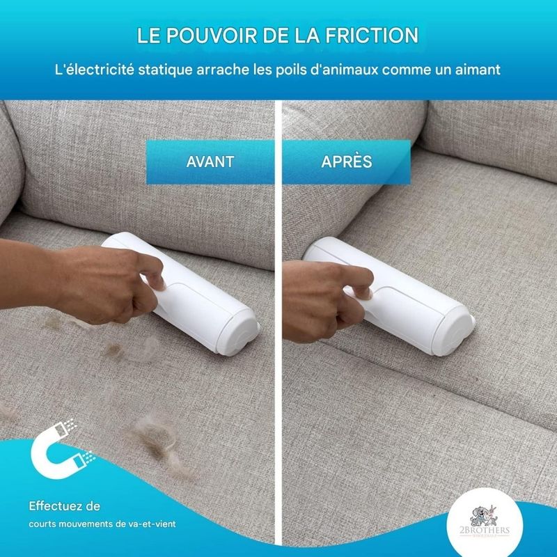 ZooVenture Brosse anti poils pour chats et chiens