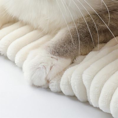 IntiMeg Sac de couchage pour chat