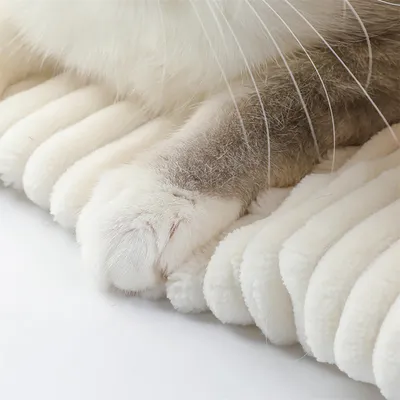 IntiMeg Saco de dormir para gatos