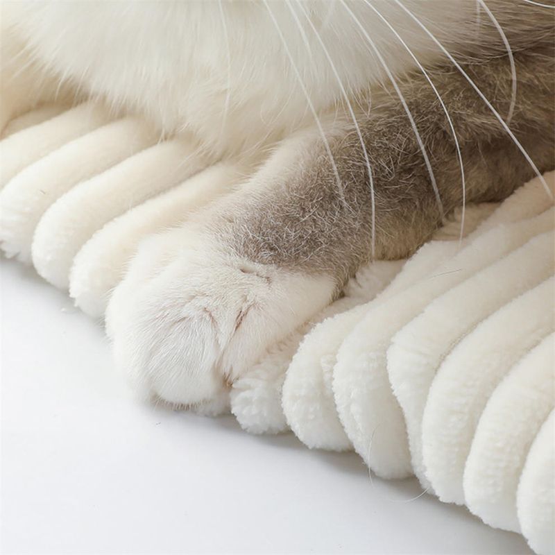 IntiMeg Sac de couchage pour chat