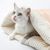 IntiMeg Sac de couchage pour chat