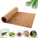 IntiMeg Tapis pour reptiles en fibres de coco