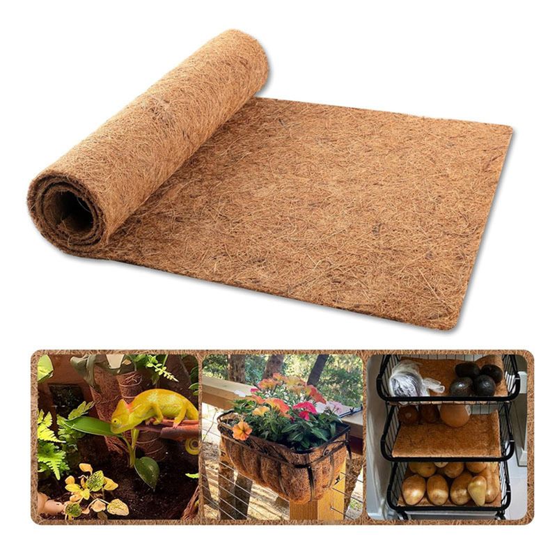 IntiMeg Tapis pour reptiles en fibres de coco