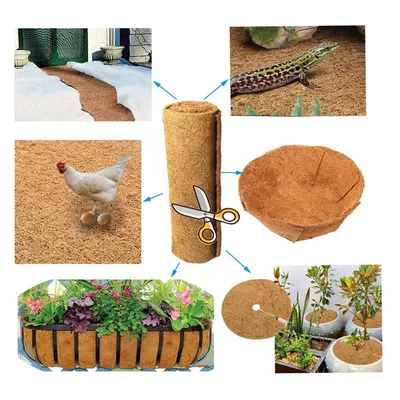 IntiMeg Tapis pour reptiles en fibres de coco