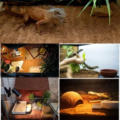 IntiMeg Esterillas para reptiles hechas de fibra de coco