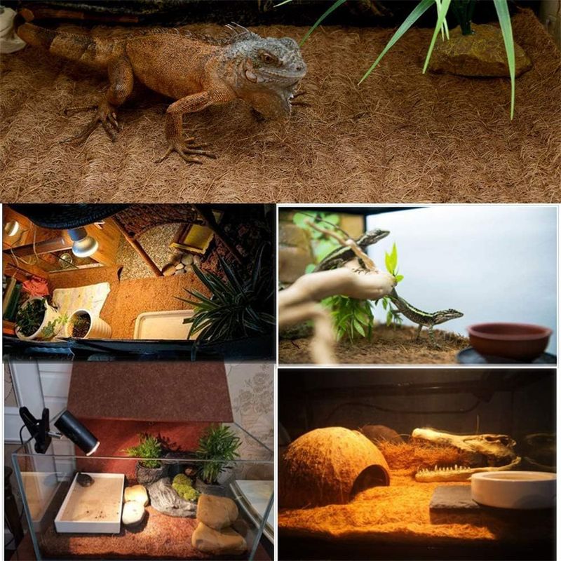 IntiMeg Tapis pour reptiles en fibres de coco