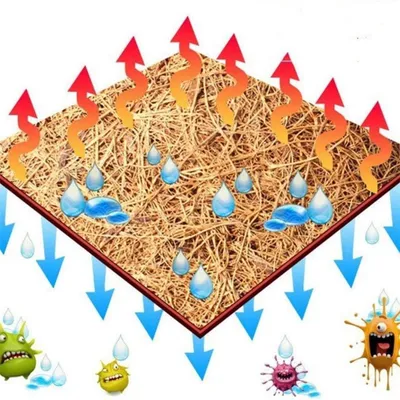 IntiMeg Tapis pour reptiles en fibres de coco