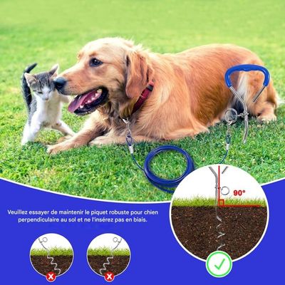 ZooVenture Piquet et chaîne pour chiens