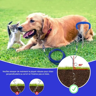 ZooVenture Estaca y cadena para perros
