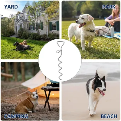 ZooVenture Piquet de fixation pour chiens