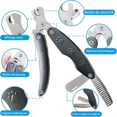 IntiMeg Coupe Ongle Chien avec Lime & Peigne