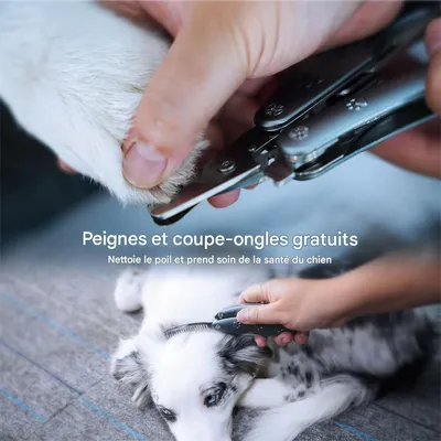 IntiMeg Coupe Ongle Chien avec Lime & Peigne