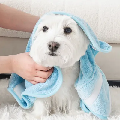 FurryFusion Peignoir pour chien