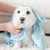FurryFusion Peignoir pour chien