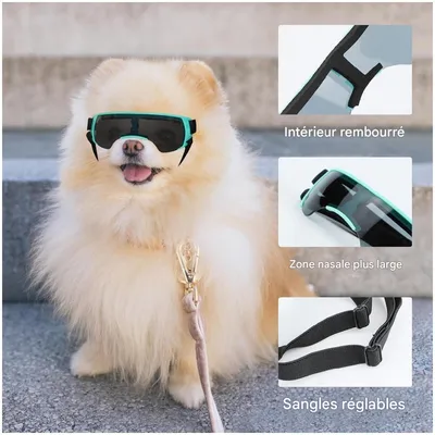 ZooVenture Lunettes de soleil pour petits chiens