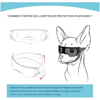 ZooVenture Lunettes de soleil pour petits chiens