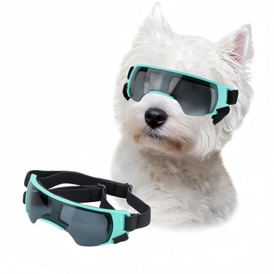 ZooVenture Lunettes de soleil pour petits chiens