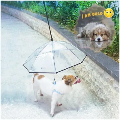 ZooVenture Parapluie et veste de pluie pour chiens ZooVenture Parapluie et veste de pluie pour chiens