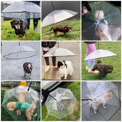 ZooVenture Parapluie et veste de pluie pour chiens ZooVenture Parapluie et veste de pluie pour chiens
