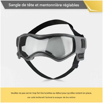 ZooVenture Gafas de sol para perros pequeños y medianos ZooVenture Gafas de sol para perros pequeños y medianos