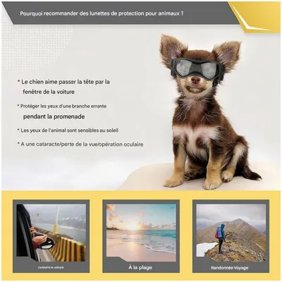 ZooVenture Gafas de sol para perros pequeños y medianos