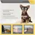 ZooVenture Gafas de sol para perros pequeños y medianos ZooVenture Gafas de sol para perros pequeños y medianos
