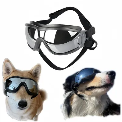ZooVenture Lunettes de soleil anti-UV pour chiens