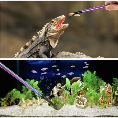 ZooVenture Deux pinces pour reptiles