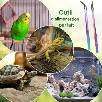 ZooVenture Deux pinces pour reptiles