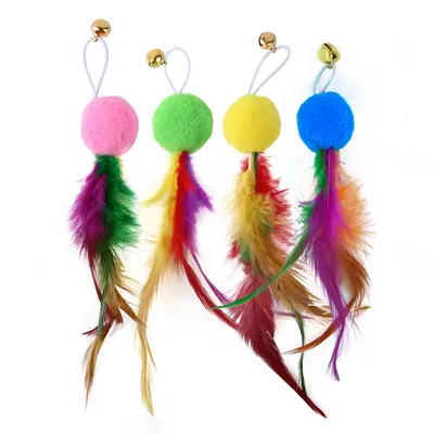 IntiMeg 14pcs Canne à pêche Teaser pour chat