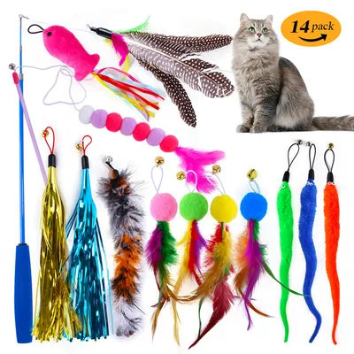 IntiMeg 14pcs Canne à pêche Teaser pour chat