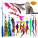 IntiMeg 14pcs Canne à pêche Teaser pour chat