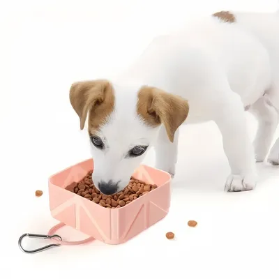 IntiMeg Bol pliable pour animaux de compagnie IntiMeg Bol pliable pour animaux de compagnie