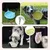 IntiMeg 2en1 Bol anti - glouton pour chien