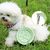 IntiMeg 2en1 Bol anti - glouton pour chien