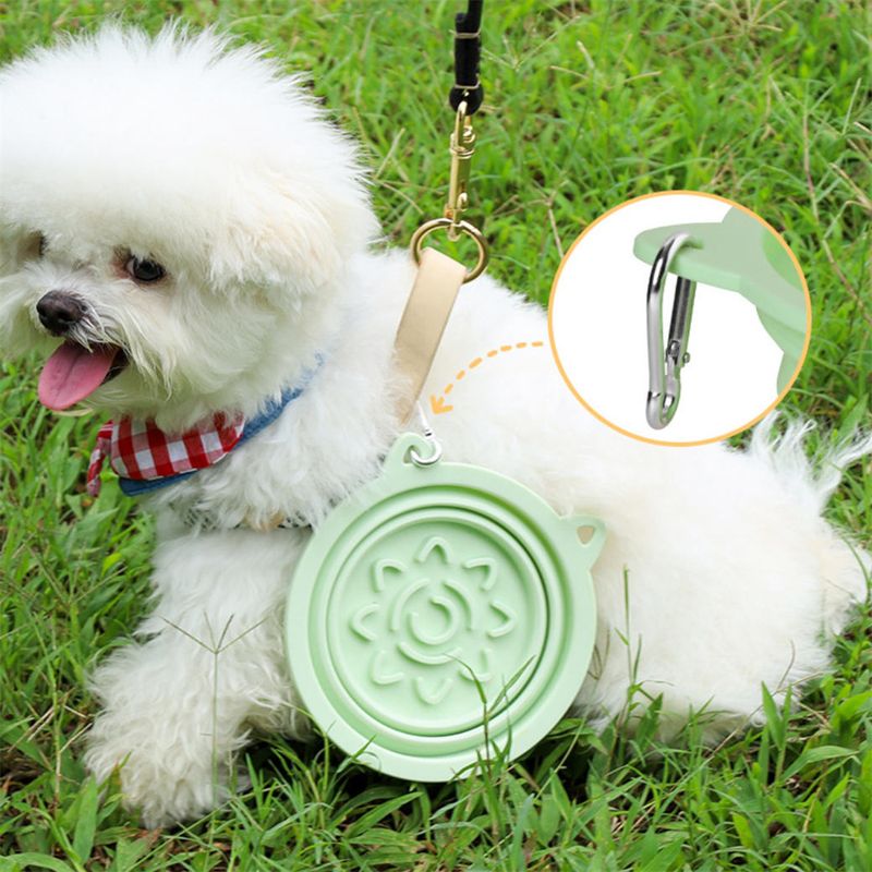 IntiMeg 2en1 Bol anti - glouton pour chien