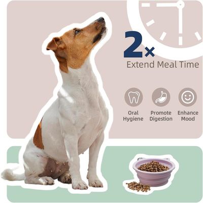 IntiMeg Comedero lento 2 en 1 para perros